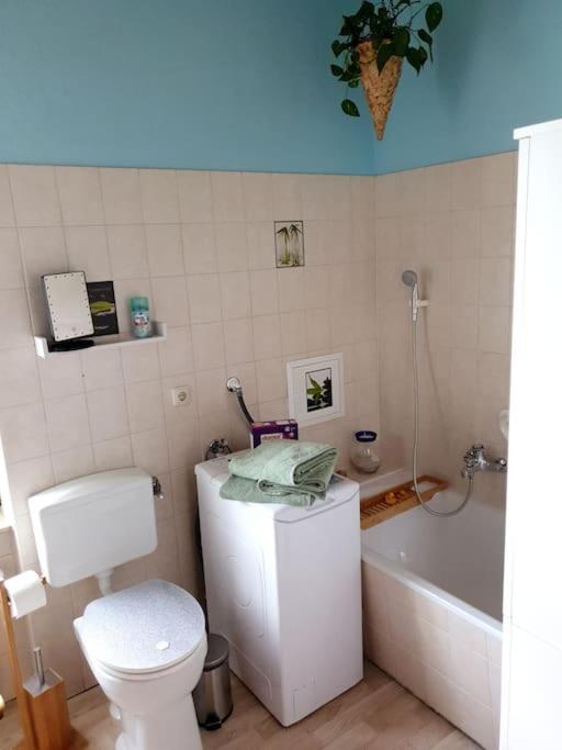 Idyllische Ferienwohnung In Zentrumsnaehe Dresden Luaran gambar